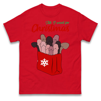 All I Want For Christmas Santa Bag Funny T Shirt