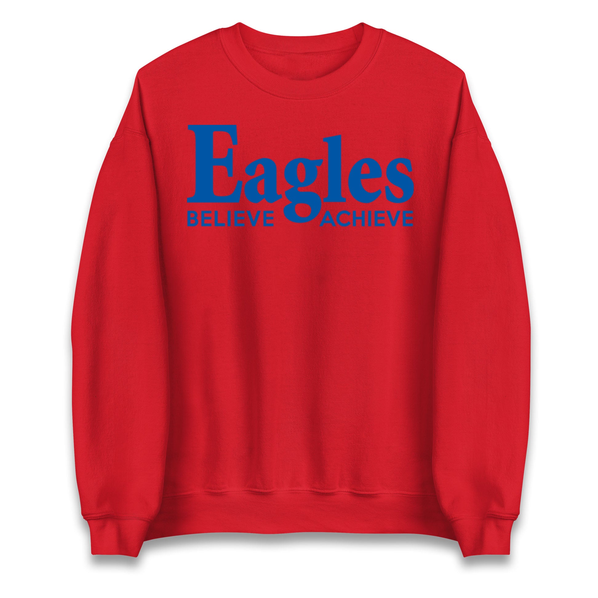 Crystal Palace FC Jumper