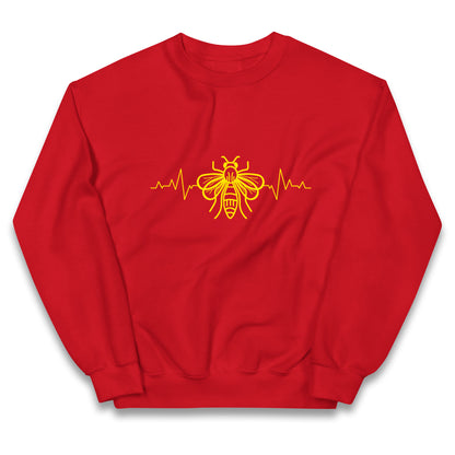 The Hornets ECG Kids Jumper