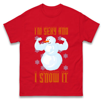 Im Sexy And I Snow It Christmas T Shirts