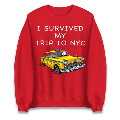 Spiderman Jumper