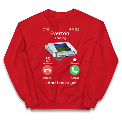 everton jumper