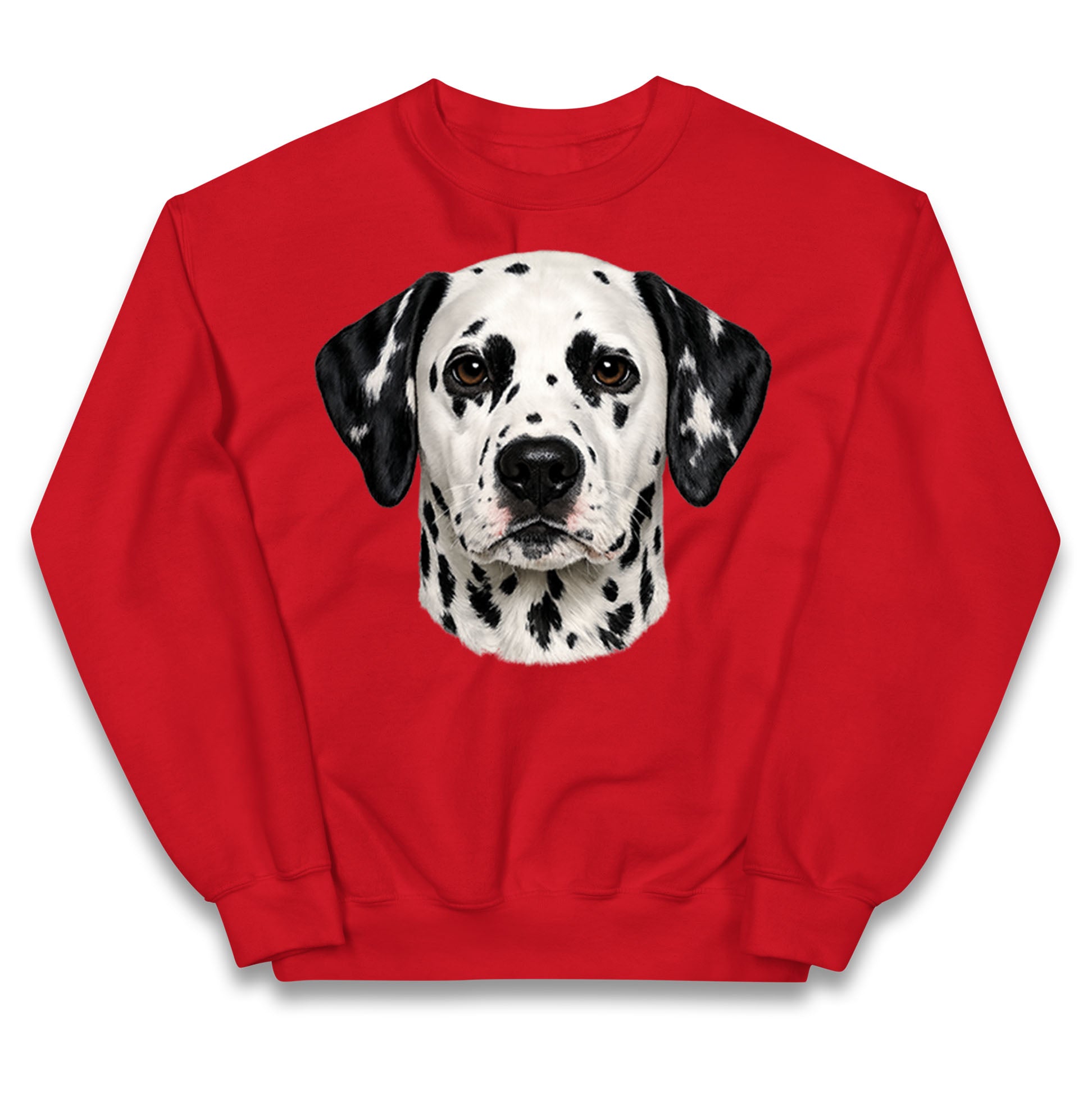 Dalmatian Dog Face Kids Jumper