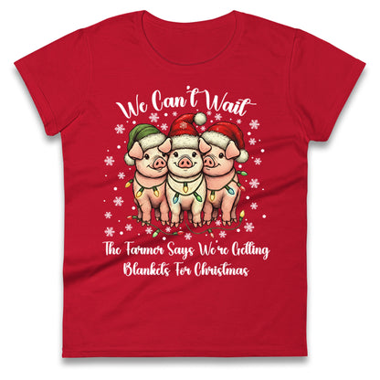 Three Pigs Christmas Ladies T Shirt