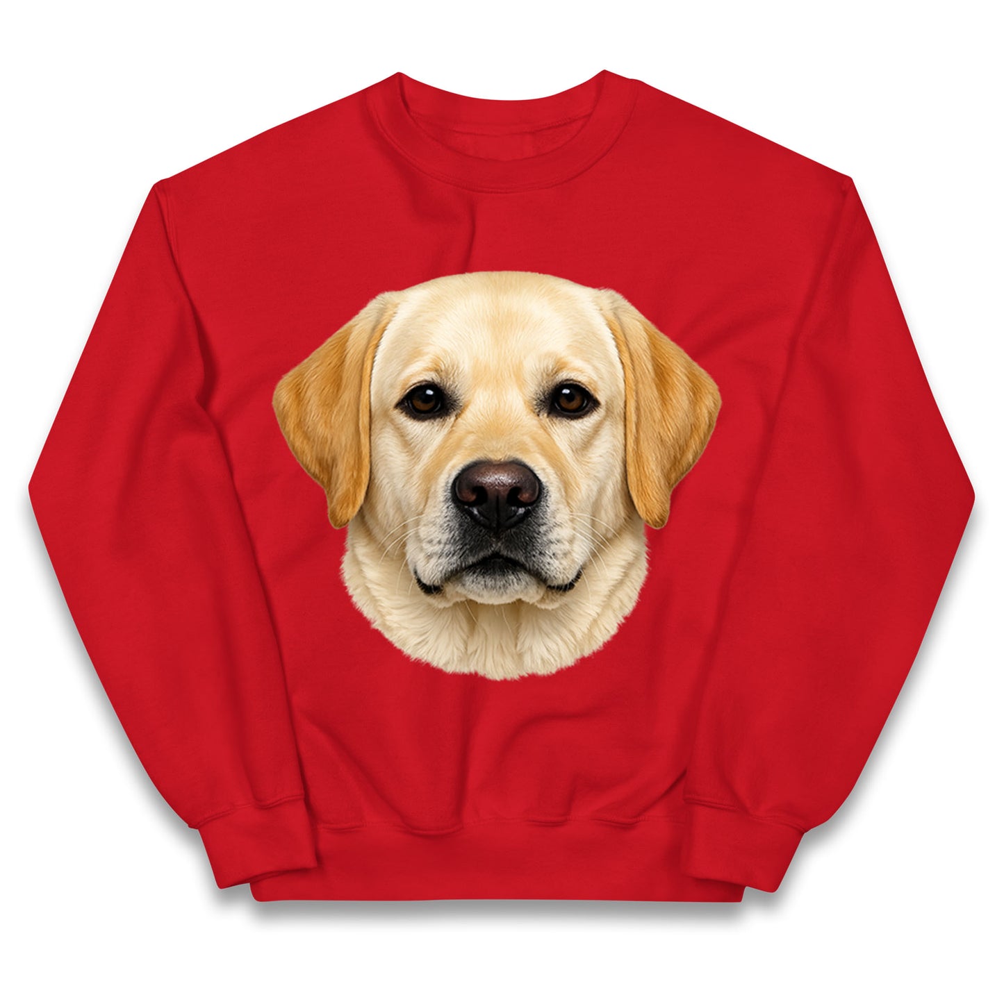 Labrador Dog Face Kids Jumper