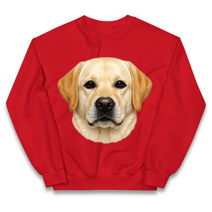 Labrador Dog Face Kids Jumper
