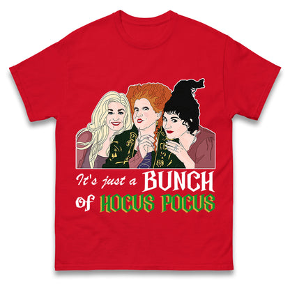The Sanderson Sisters Disney Hocus Pocus t shirt
