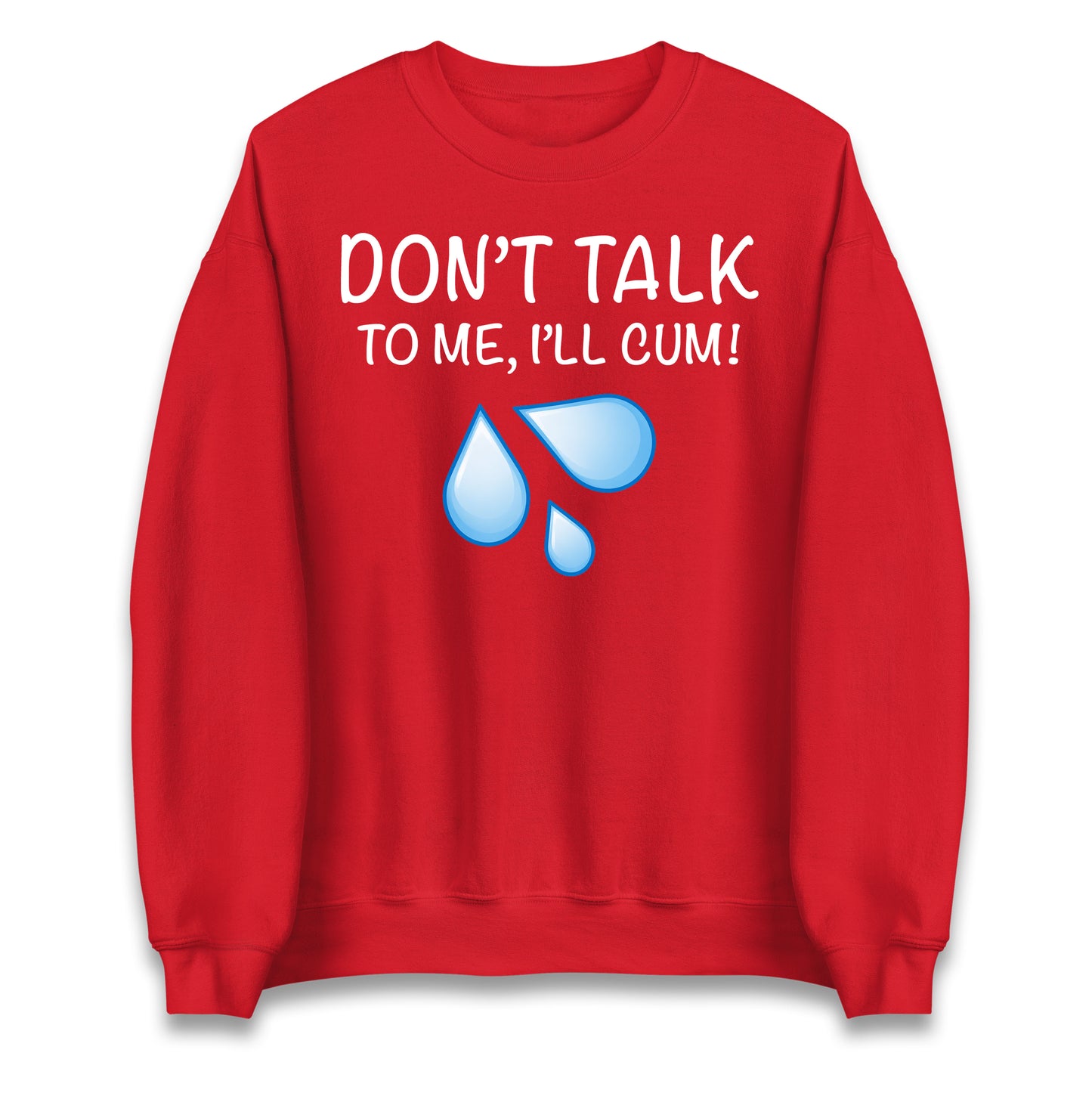 Don't Talk To Me I'll Cum Jumper