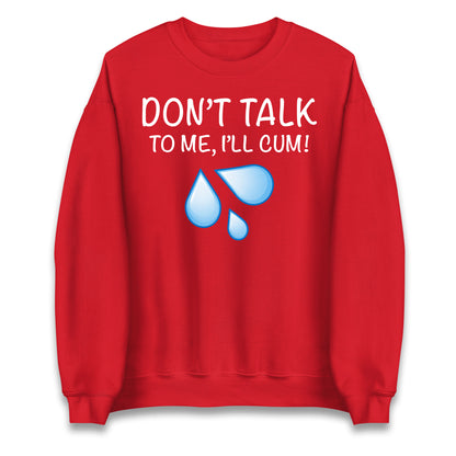 Don't Talk To Me I'll Cum Jumper