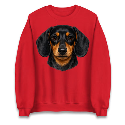 Dachshund Dog Face Jumper