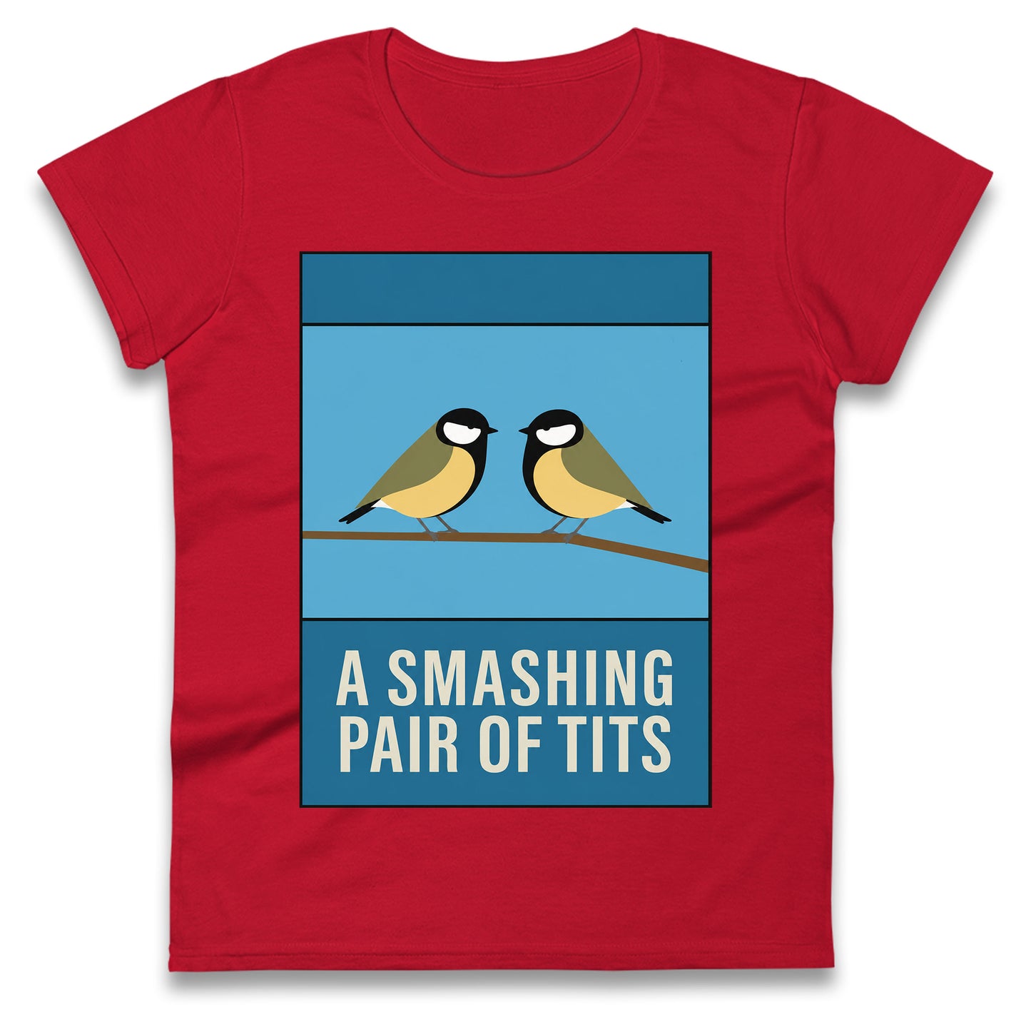 A Smashing Pair Of Tits Ladies T Shirt