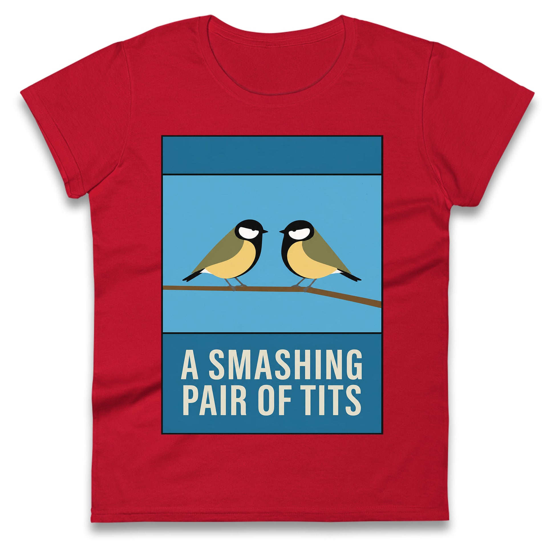 A Smashing Pair Of Tits Ladies T Shirt