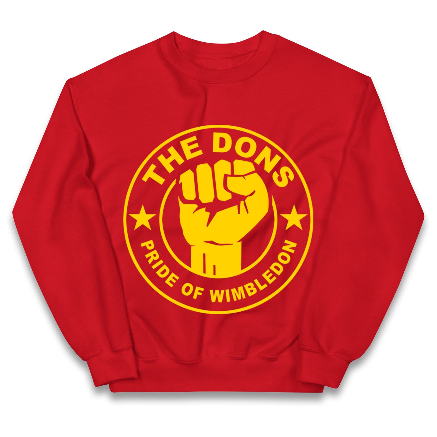 AFC Wimbledon Football Kids Jumper