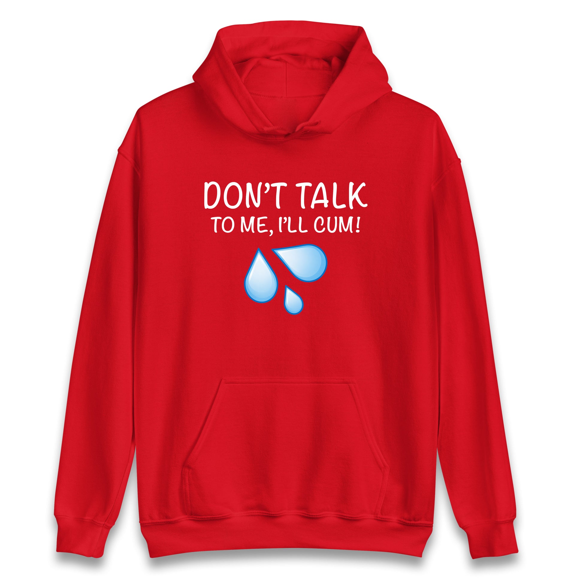 Don't Talk To Me I'll Cum Hoodie