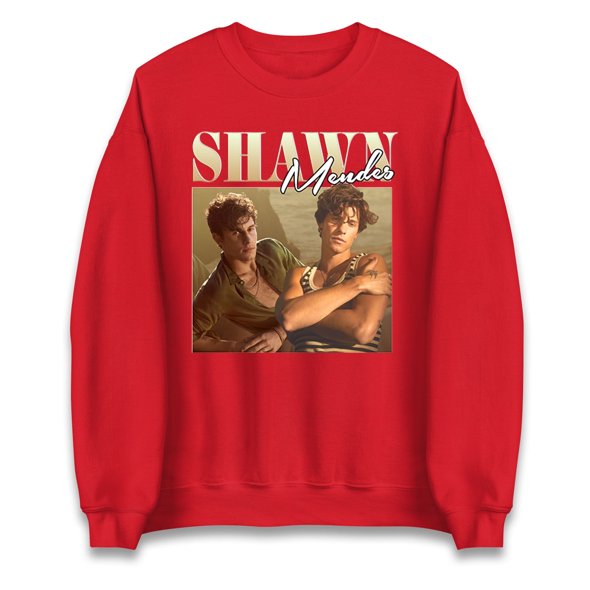 Shawn Mendes Jumper