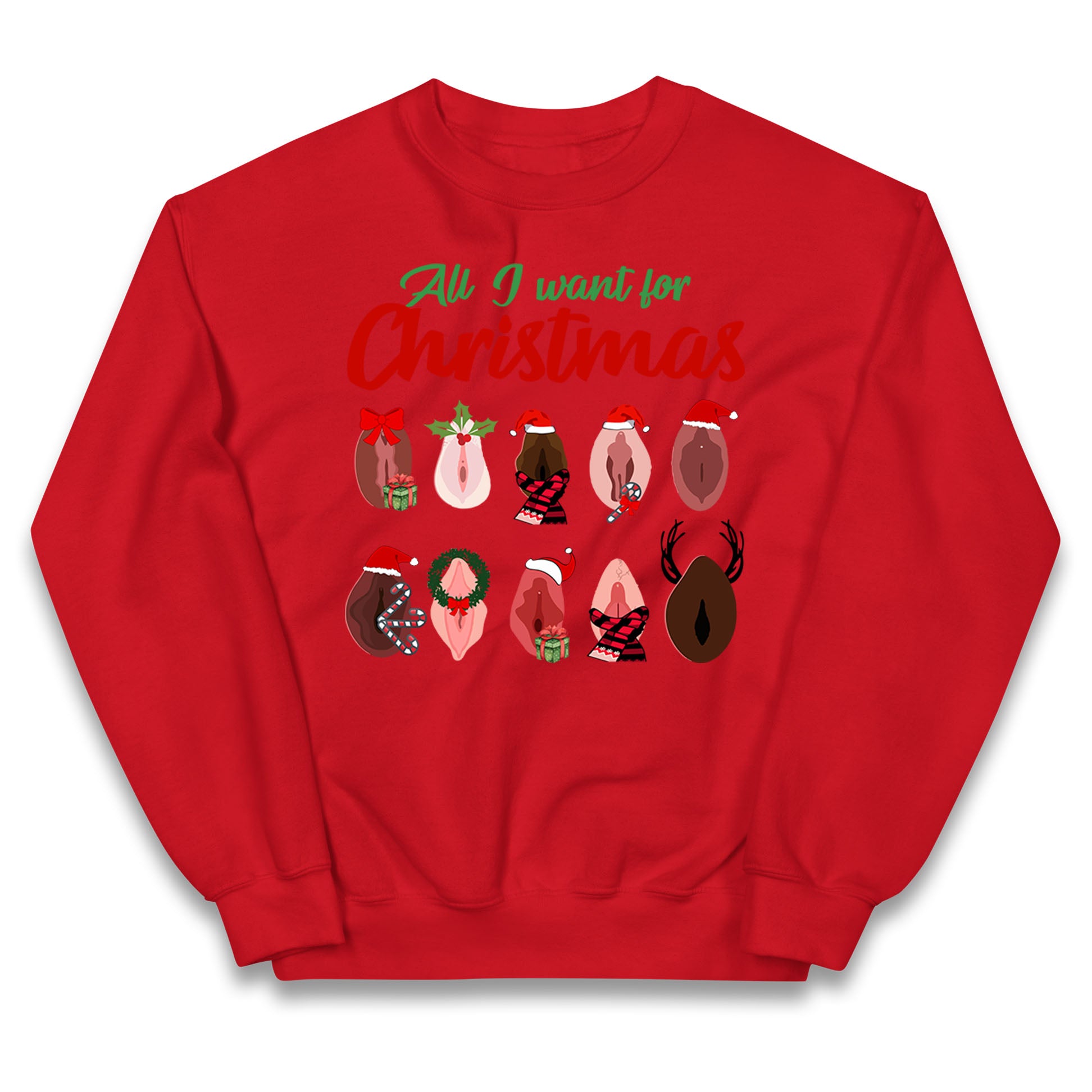 All I Want For Christmas Vagina Funny Jumper