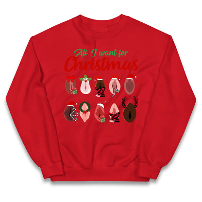 All I Want For Christmas Vagina Funny Jumper