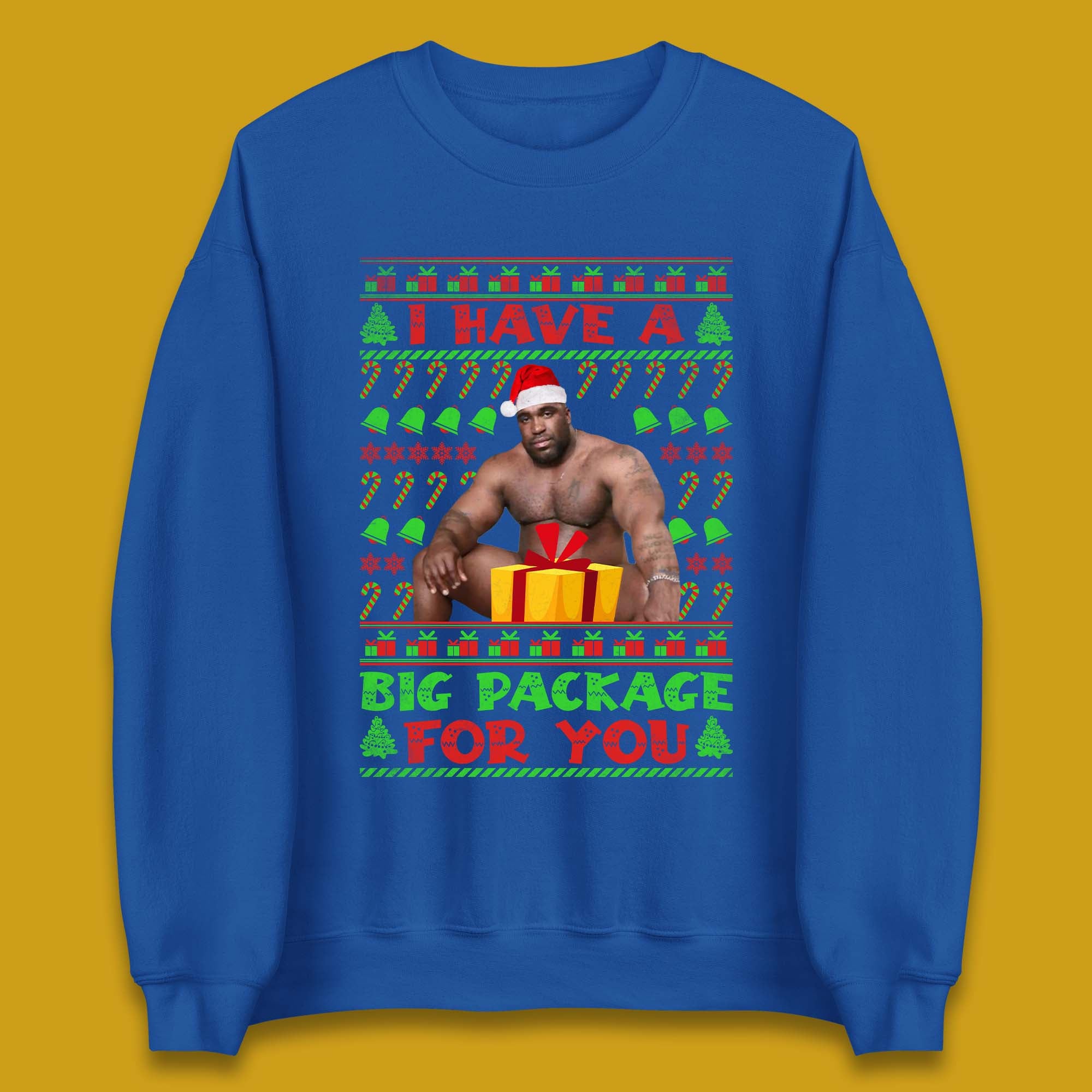 Big Package Ugly Christmas Unisex Sweatshirt