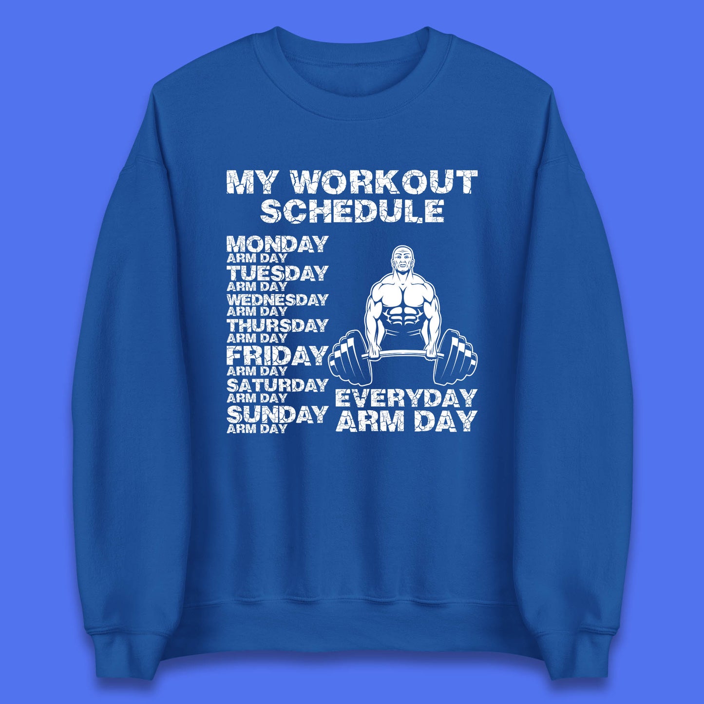 My Workout Schedule Everyday Arm Day Daily Routine  Arm Gym Workout Everyday Of Week Arm Day Fitness Unisex Sweatshirt