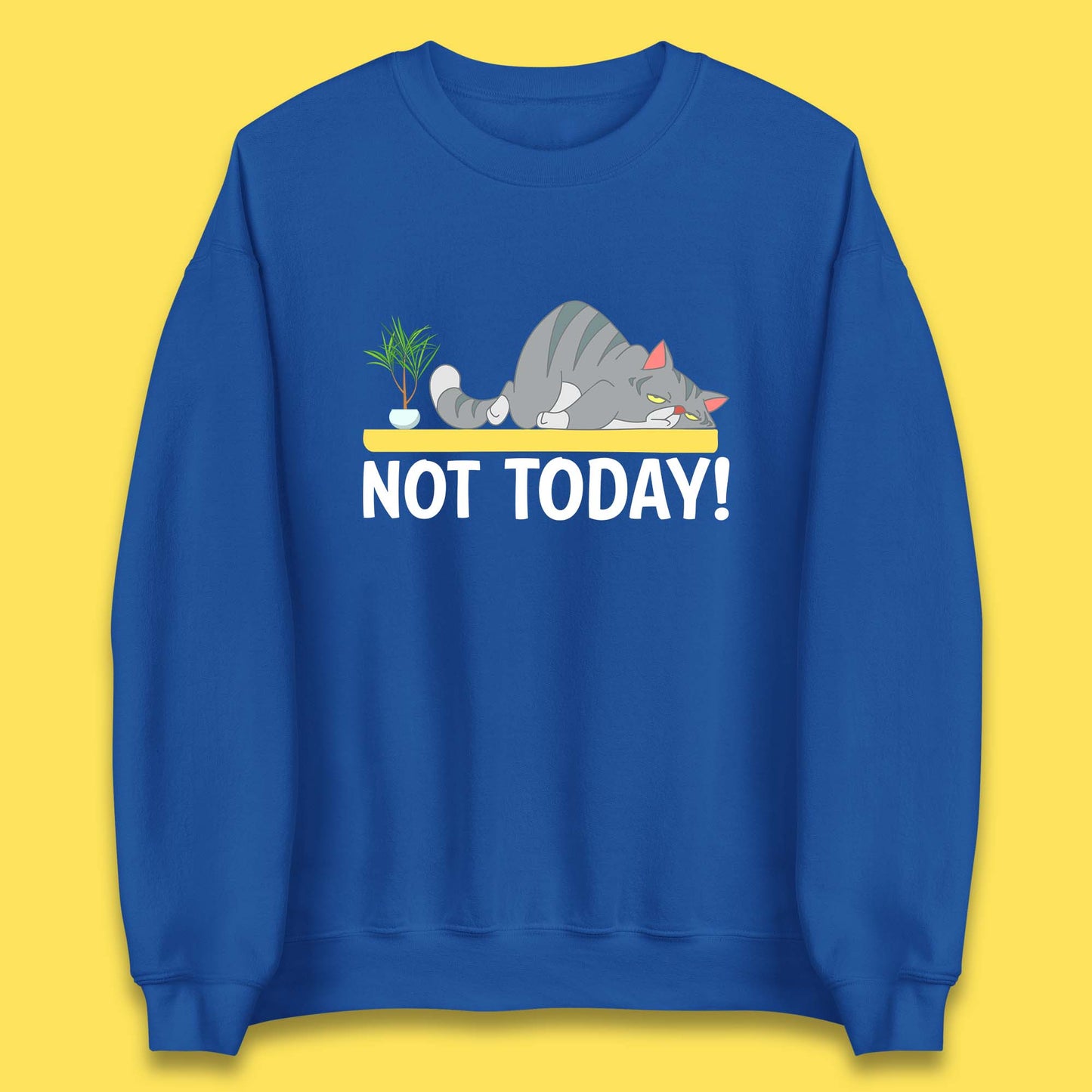 Not Today Cat Funny Kitten Lazy Cats Sleepy Cat Lover Unisex Sweatshirt