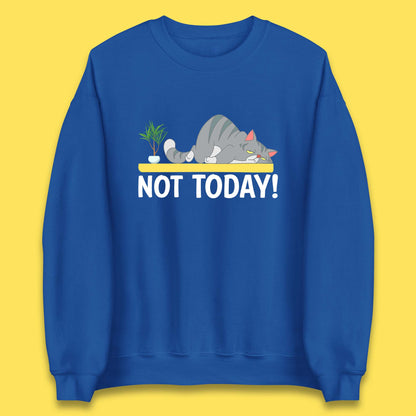 Not Today Cat Funny Kitten Lazy Cats Sleepy Cat Lover Unisex Sweatshirt