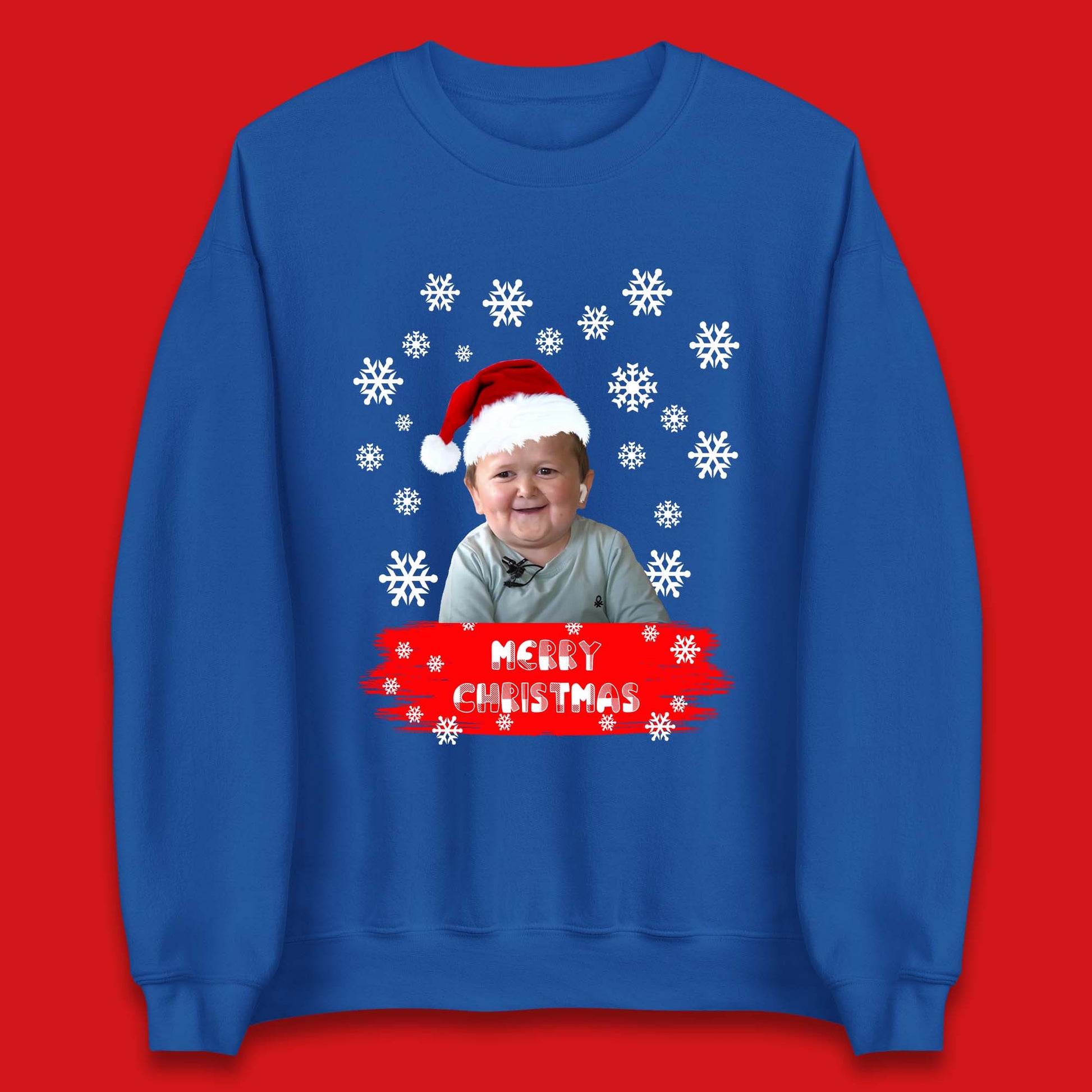 Hasbulla Christmas Jumper UK