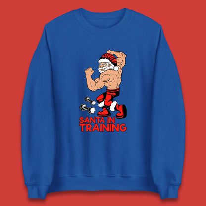 bodybuilding gym sweatshirt