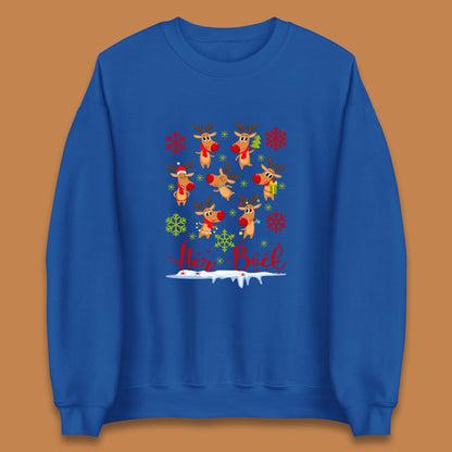 reindeers rudolph sweatshirt