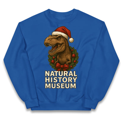 Natural History Museum Christmas Kids Jumper