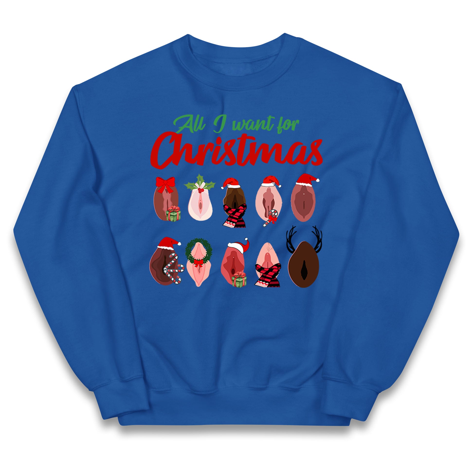 All I Want For Christmas Vagina Funny Jumper