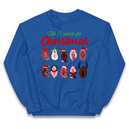 All I Want For Christmas Vagina Funny Jumper