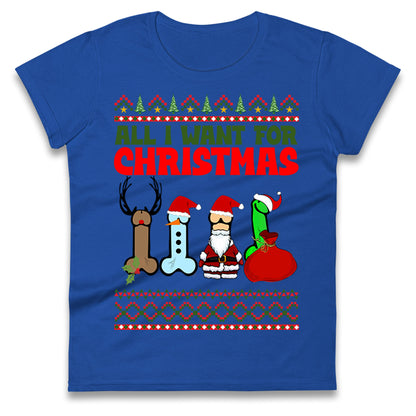 All I Want For Christmas Funny T Shirt
