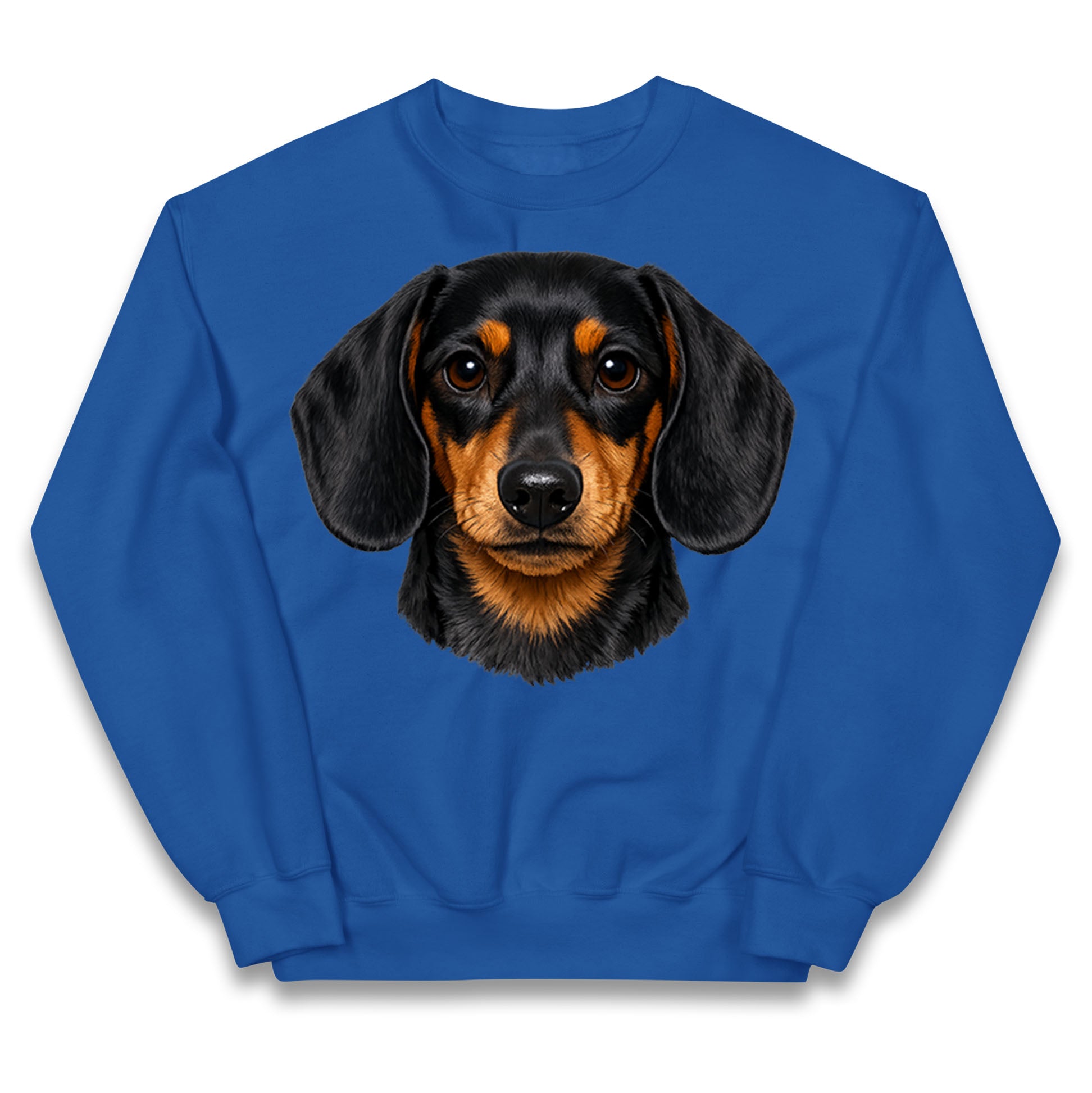 Dachshund Dog Face Kids Jumper