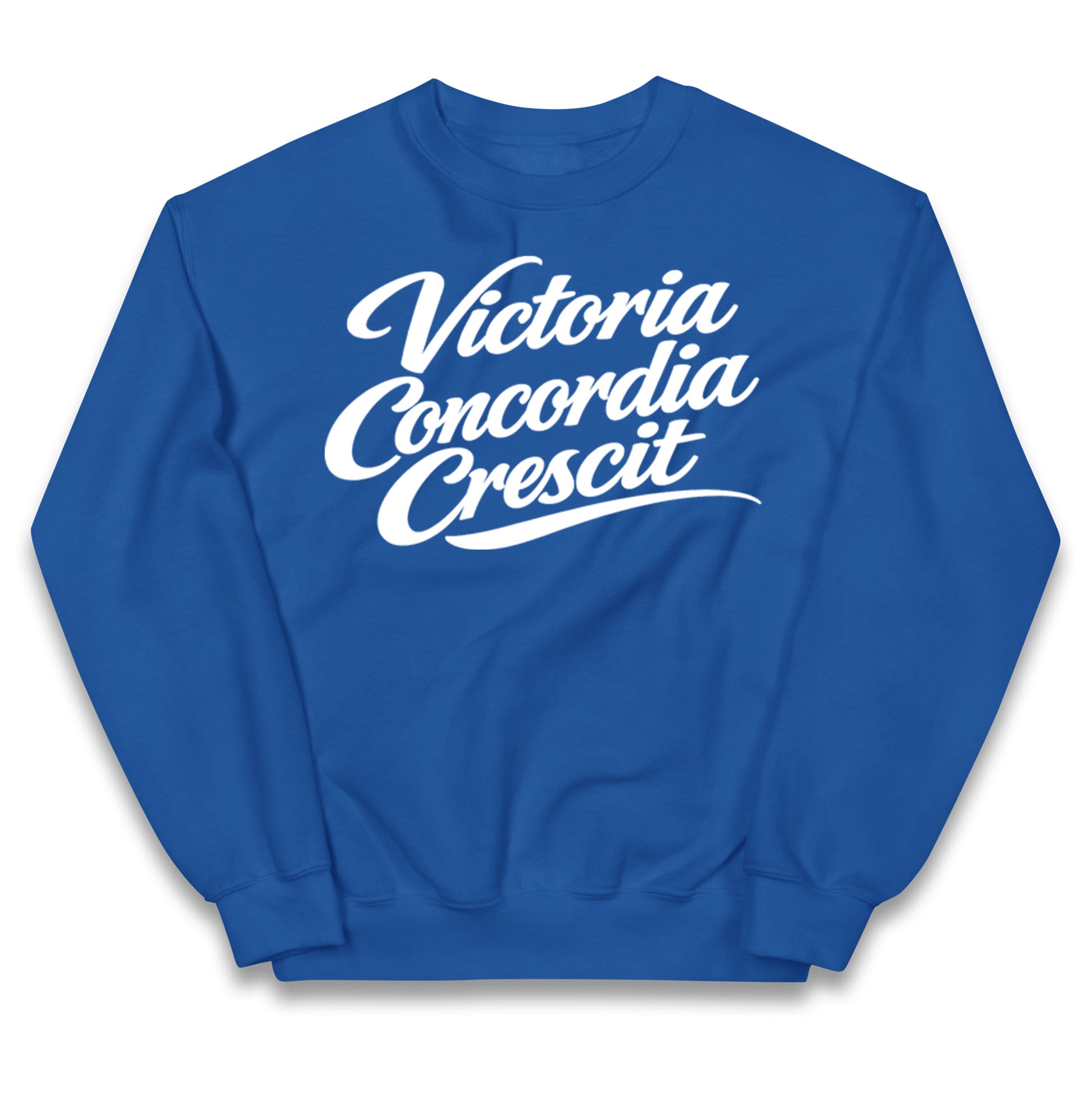 Arsenal Motto Kids Jumper