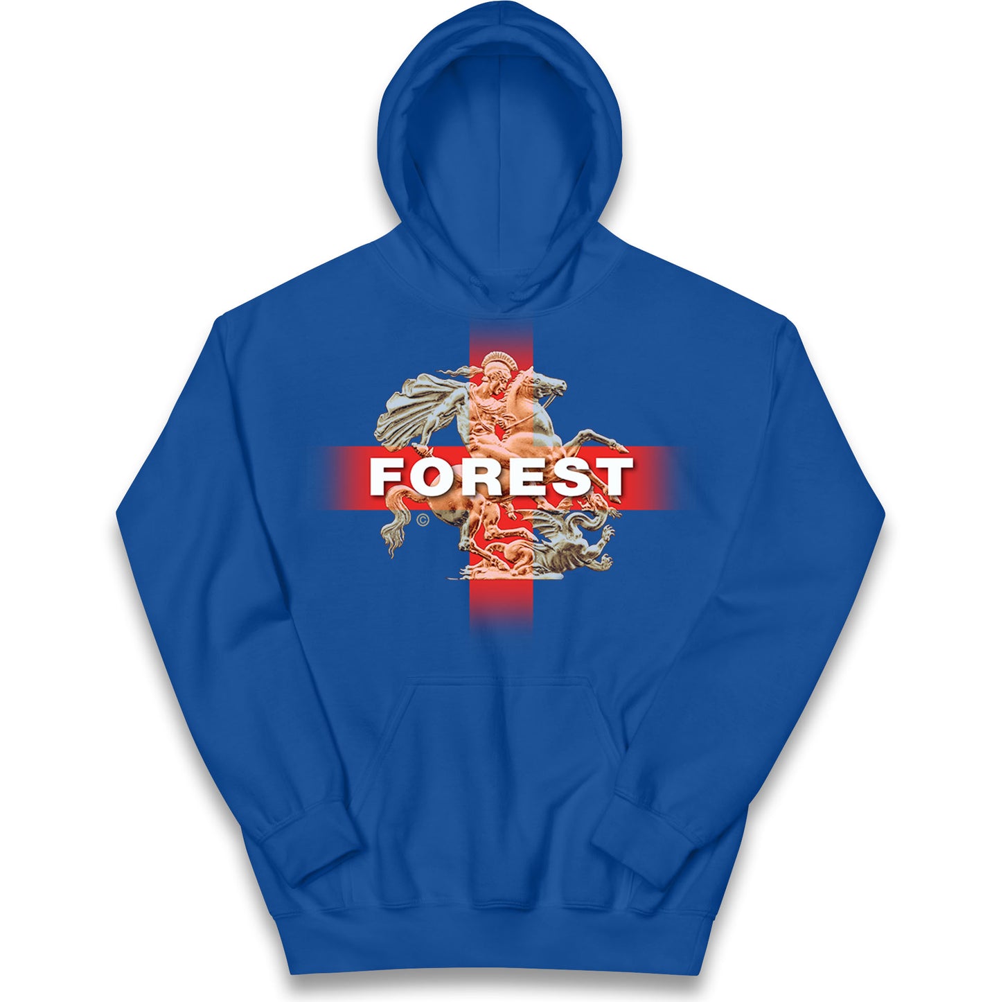 Forest St George & The Dragon Kids Hoodie