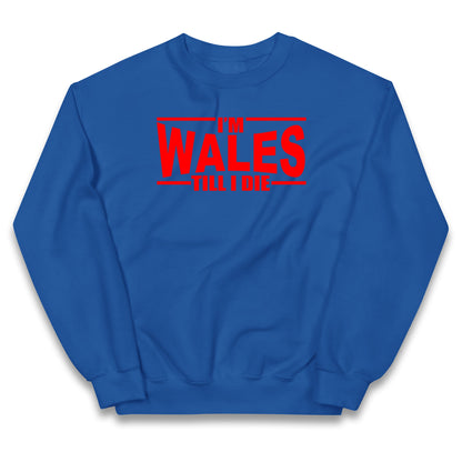 I'm Wales Till I Die Kids Jumper