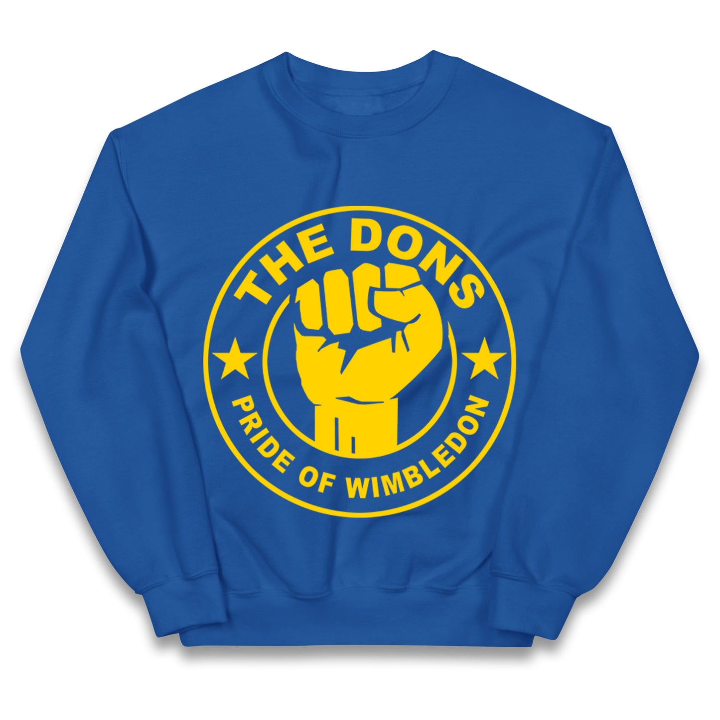 AFC Wimbledon Football Kids Jumper