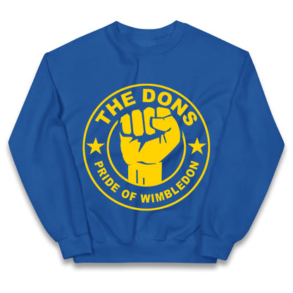 AFC Wimbledon Football Kids Jumper
