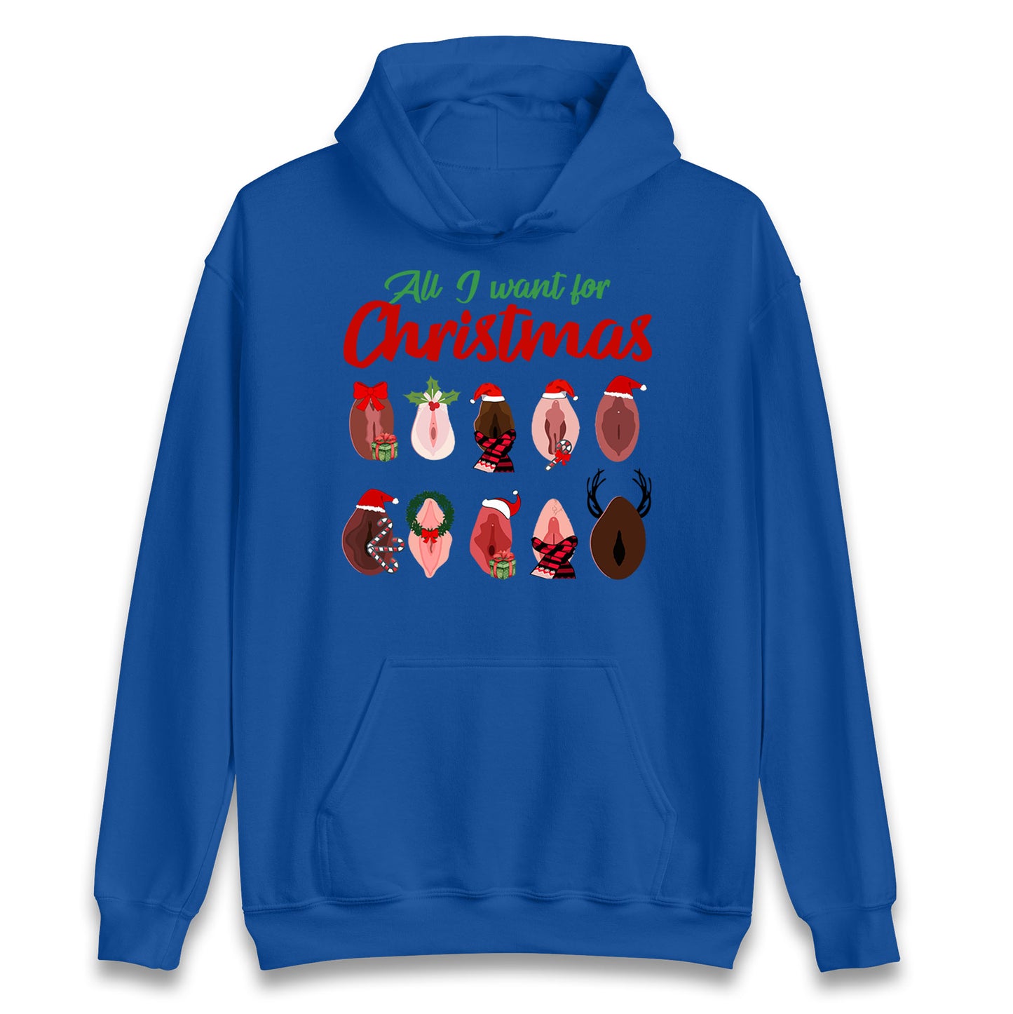 All I Want For Christmas Vagina Funny Hoodie
