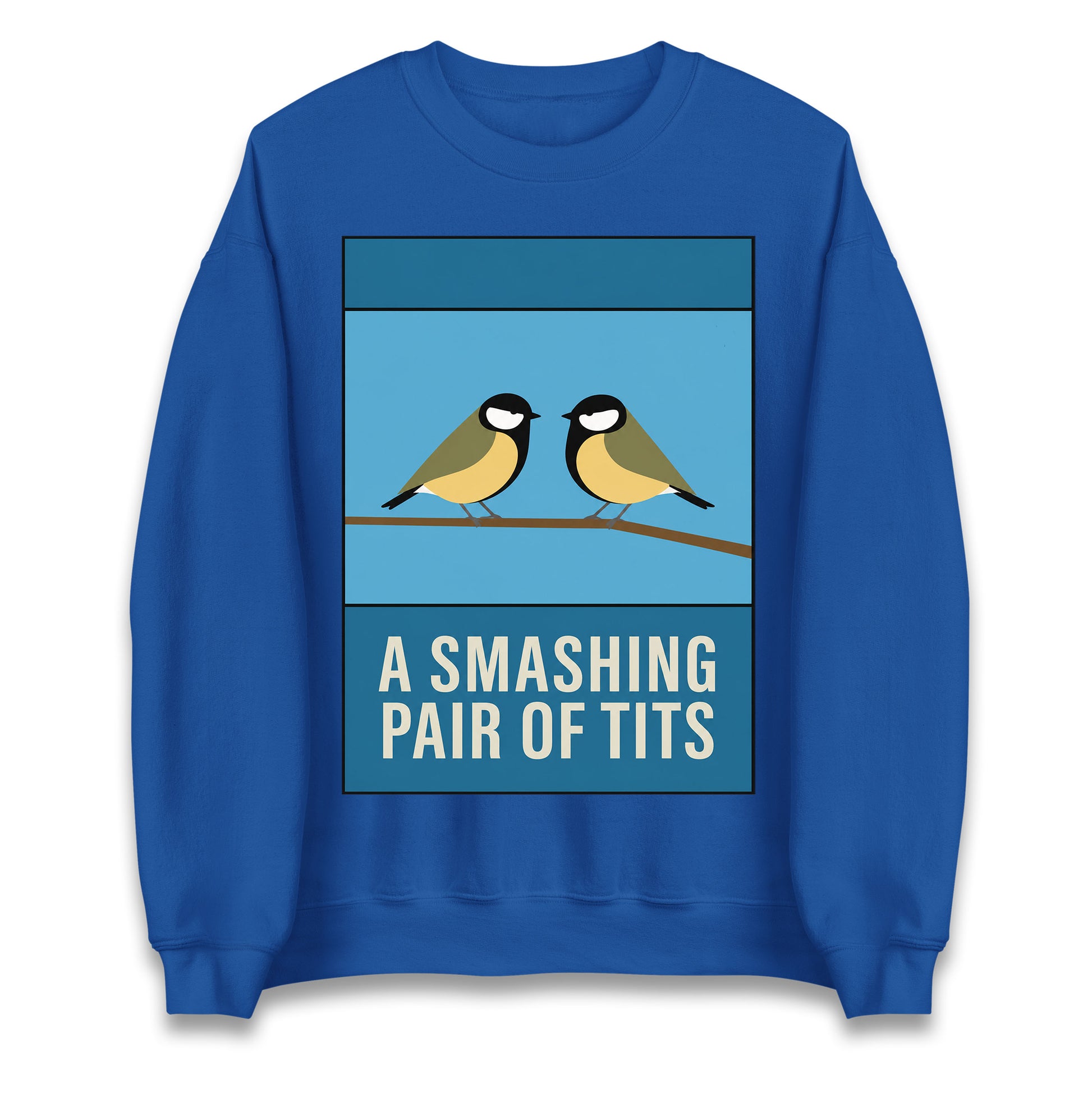 A Smashing Pair Of Tits Jumper
