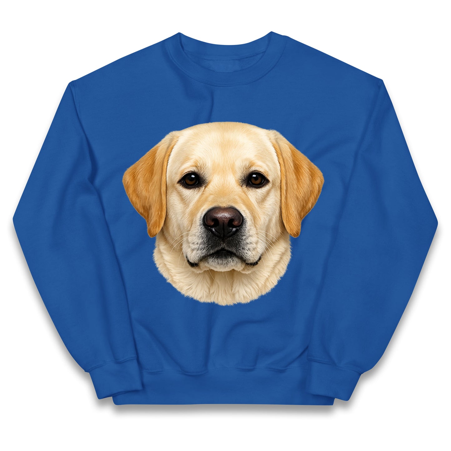 Labrador Dog Face Kids Jumper