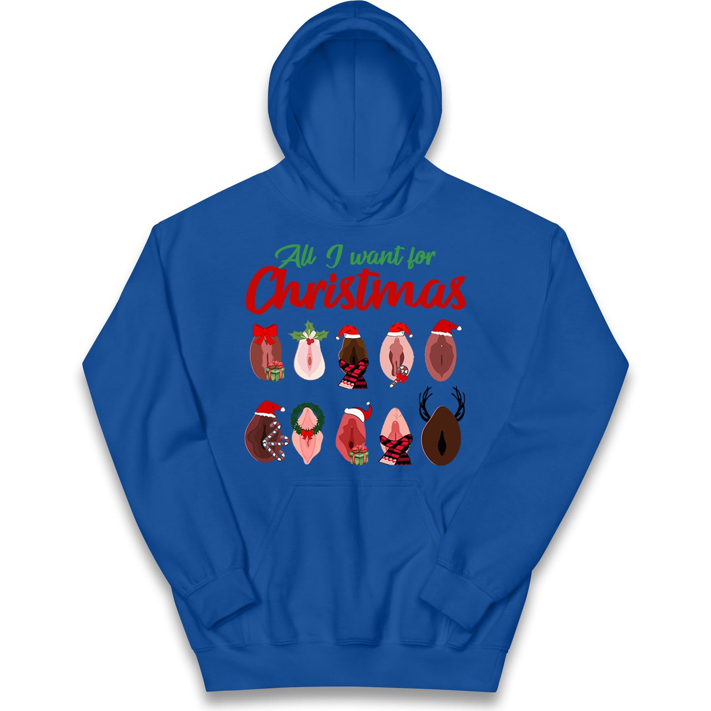 All I Want For Christmas Vagina Funny Hoodie