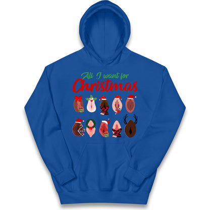 All I Want For Christmas Vagina Funny Hoodie