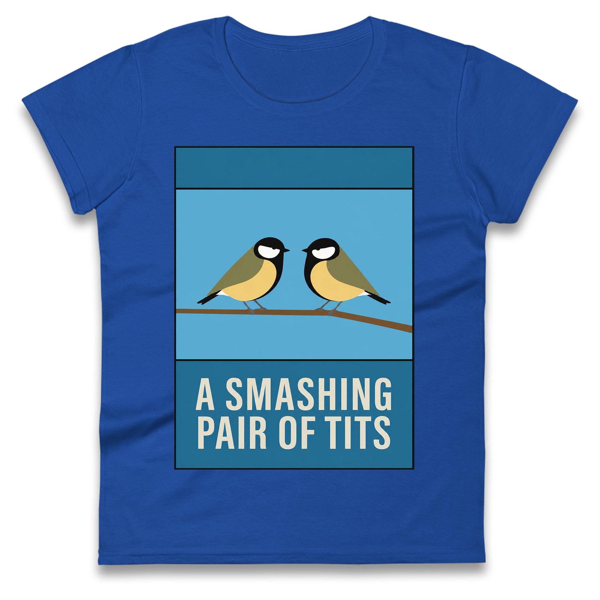 A Smashing Pair Of Tits Ladies T Shirt