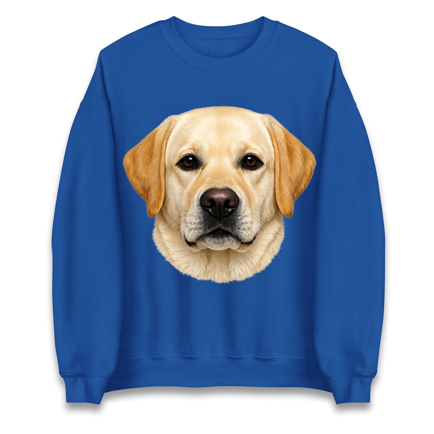 Labrador Dog Face Jumper 