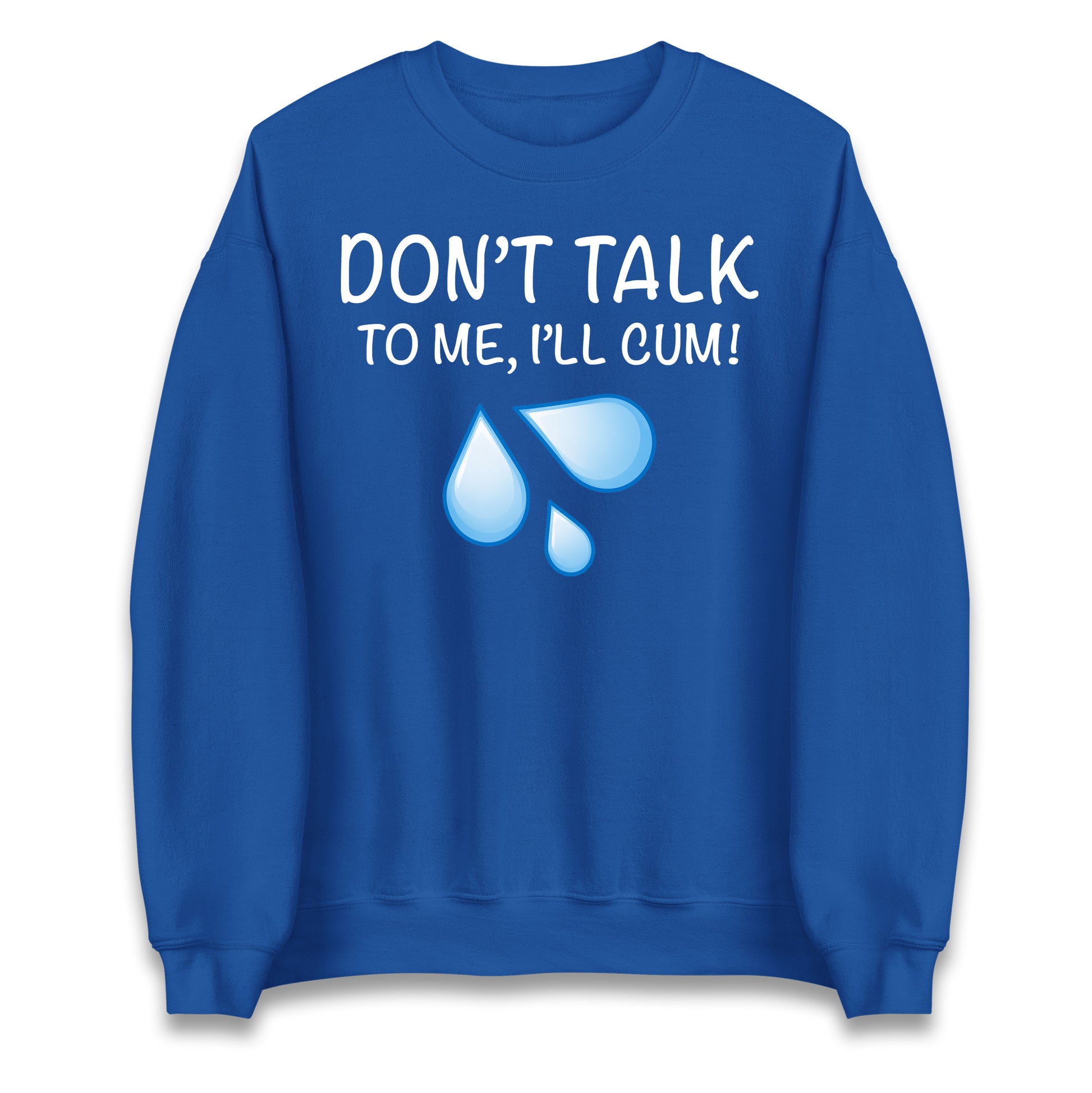 Don't Talk To Me I'll Cum Jumper