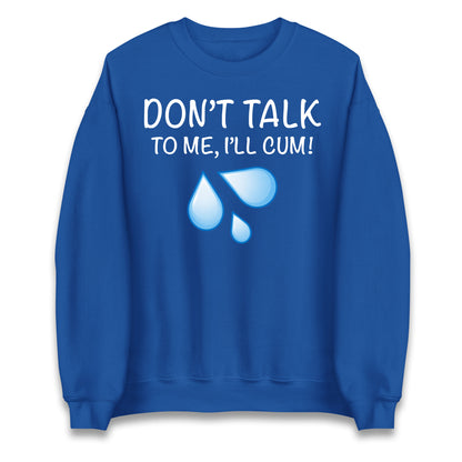 Don't Talk To Me I'll Cum Jumper