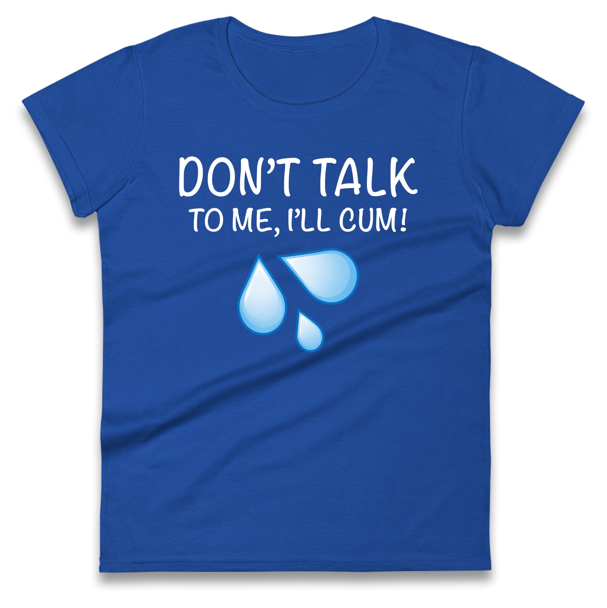 Don't Talk To Me I'll Cum Ladies T Shirt