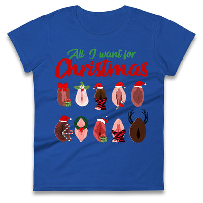 All I Want For Christmas Vagina Funny T Shirt