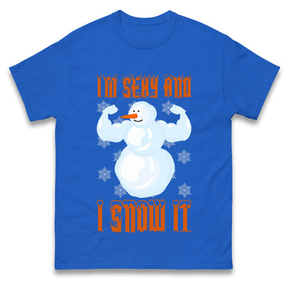 Im Sexy And I Snow It Christmas T Shirts